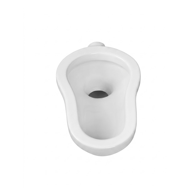 Asian Toilet